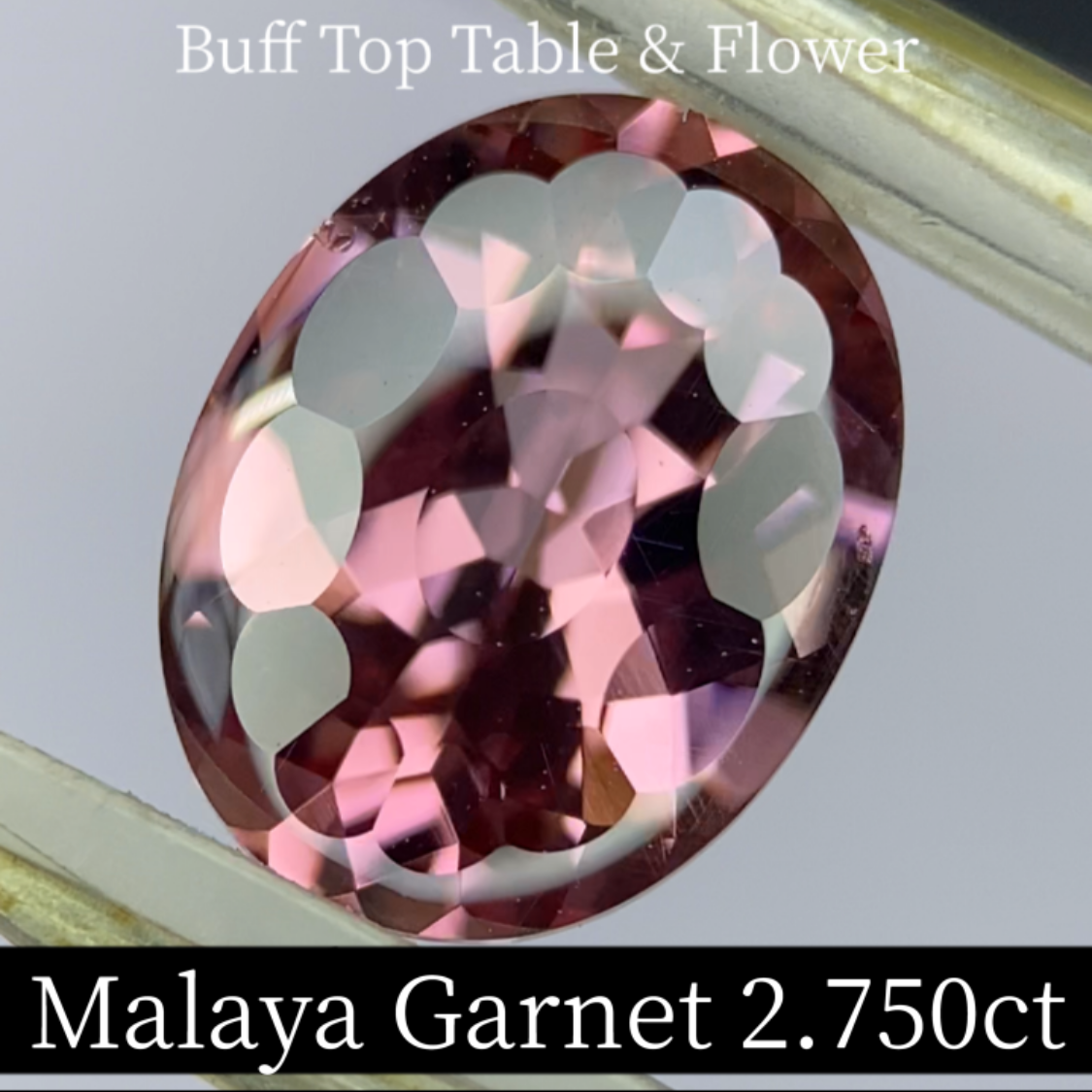 Malaya Garnet 2.750ct / Buff Top Flower