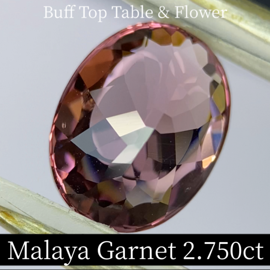 Malaya Garnet 2.750ct / Buff Top Flower