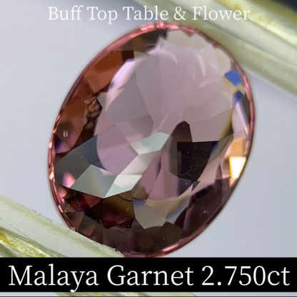 Malaya Garnet 2.750ct / Buff Top Flower