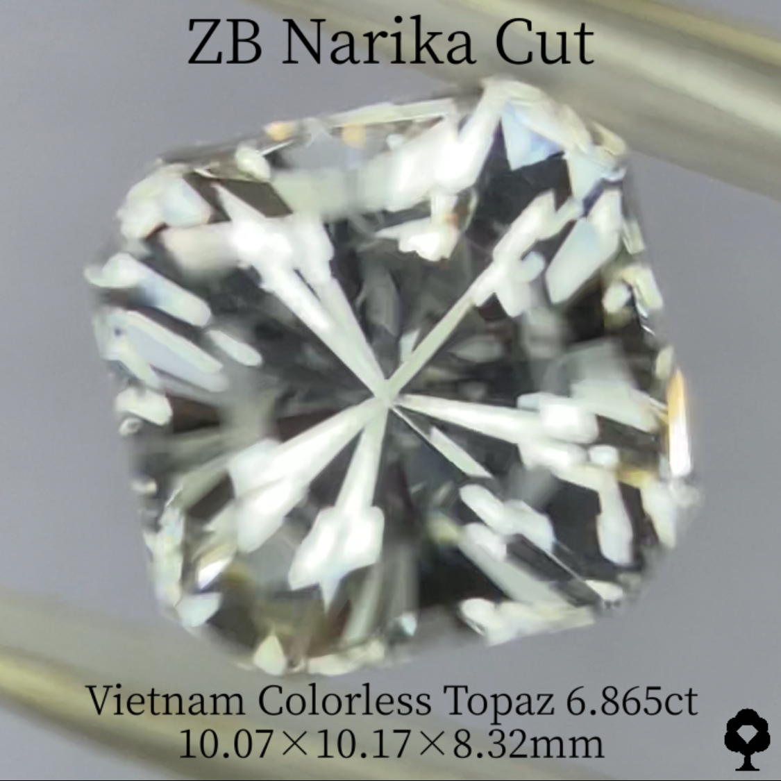 Colorless Topaz 6.865ct / Vietnam / ZB Narika Cut