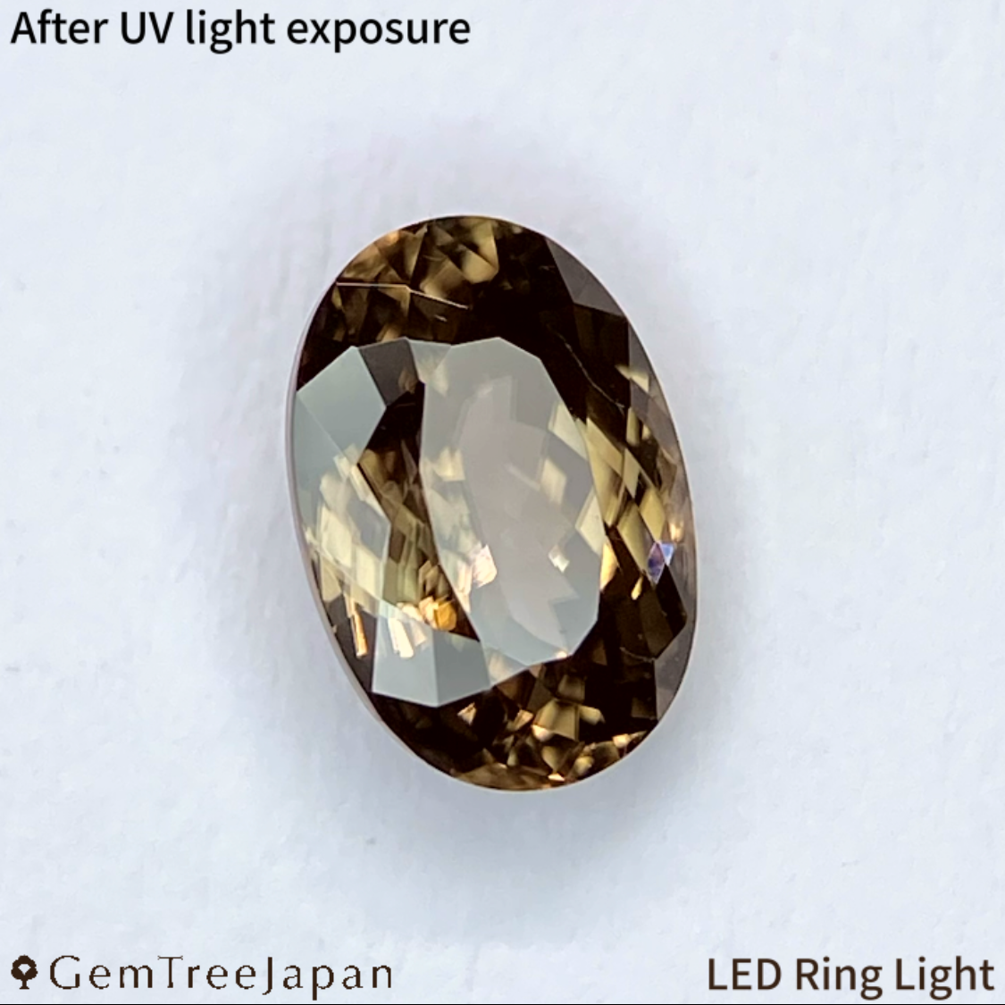 UV Tenebrescent Zircon 1.183ct / Cambodia