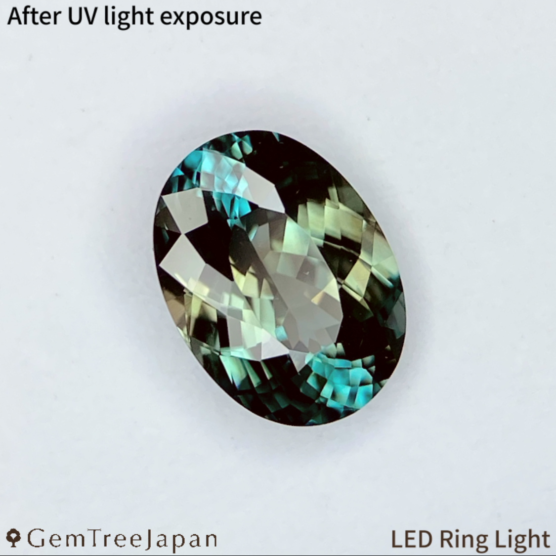 UV Tenebrescent Zircon 1.183ct / Cambodia