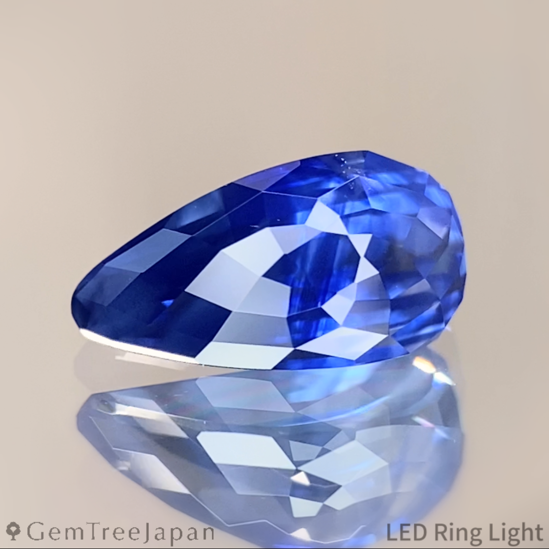 "Cornflower's Bud" Cornflower Blue Sapphire 1.698ct / Sri Lanka【One Price】