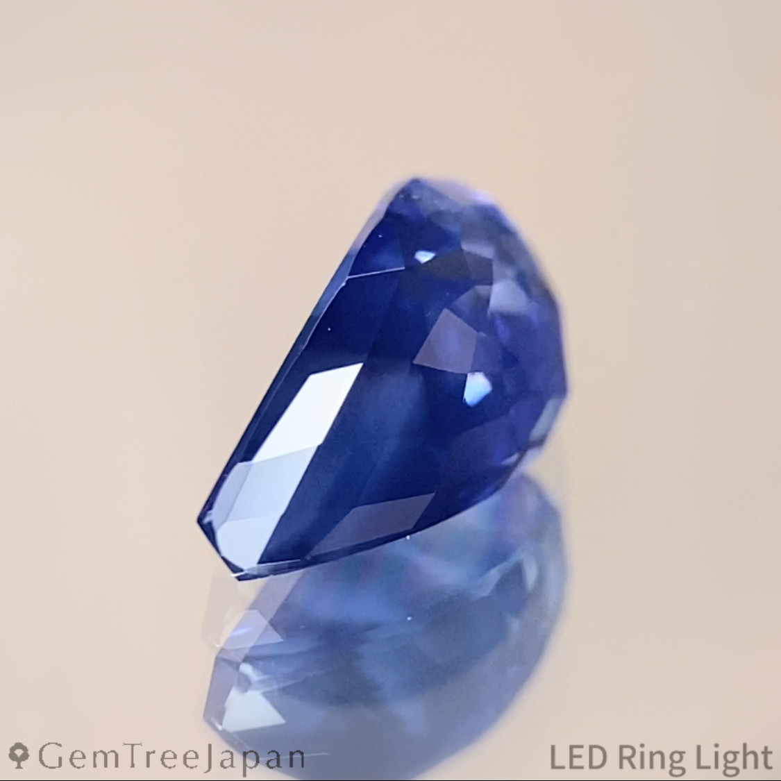 "Cornflower's Bud" Cornflower Blue Sapphire 1.698ct / Sri Lanka【One Price】