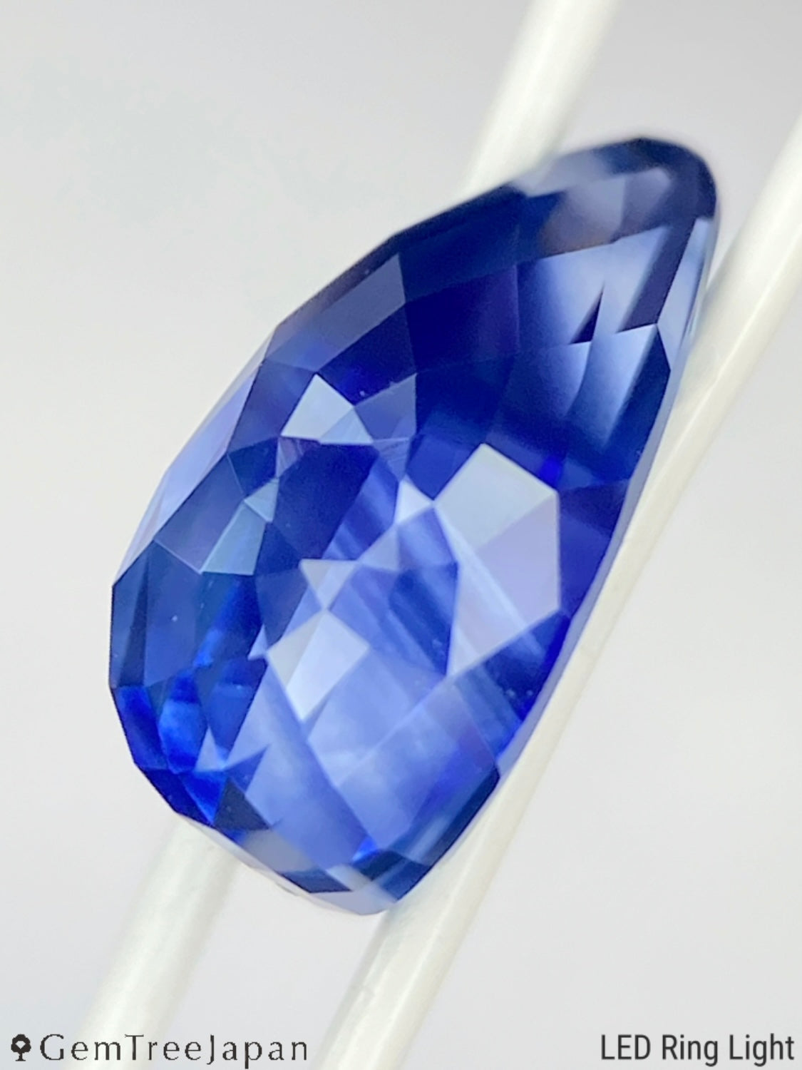 "Cornflower's Bud" Cornflower Blue Sapphire 1.698ct / Sri Lanka【One Price】