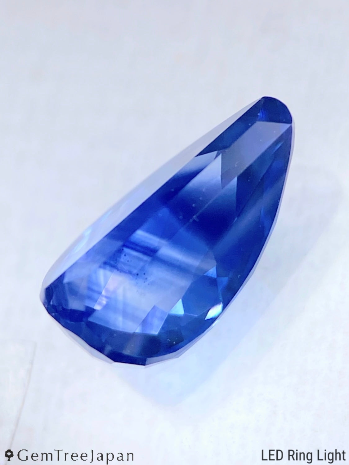 "Cornflower's Bud" Cornflower Blue Sapphire 1.698ct / Sri Lanka【One Price】