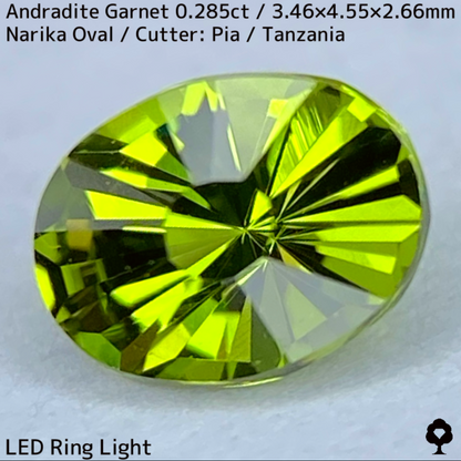 Andoradaite（Demantoid）0.285ct / Tanzania / New cut