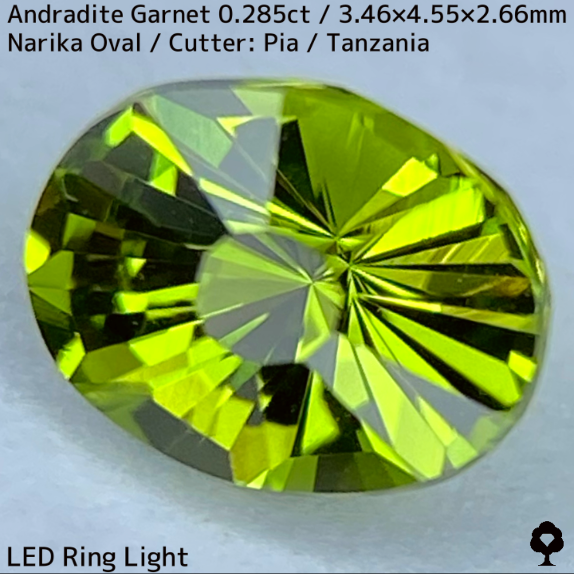 Andoradaite（Demantoid）0.285ct / Tanzania / New cut