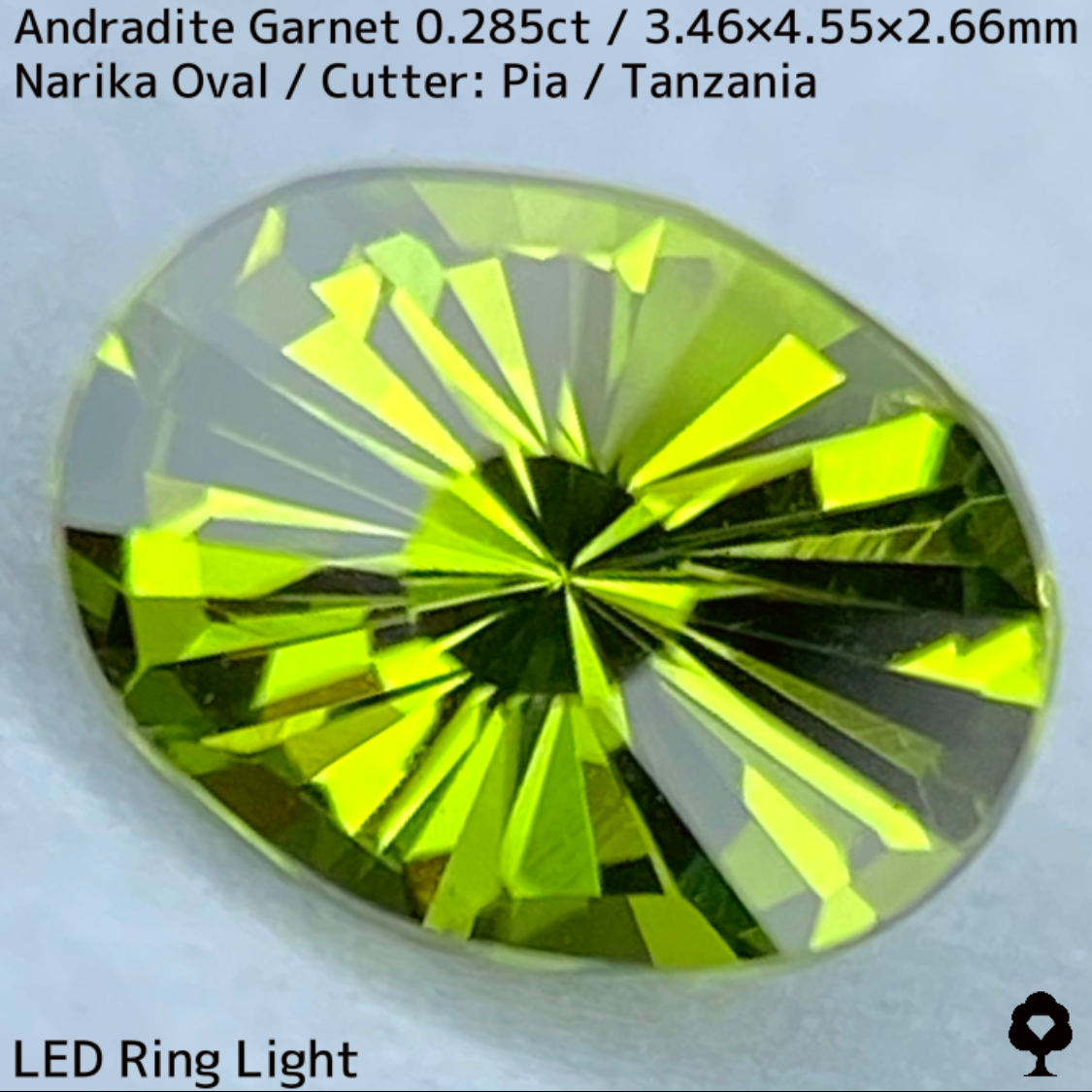 Andoradaite（Demantoid）0.285ct / Tanzania / New cut