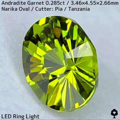 Andoradaite（Demantoid）0.285ct / Tanzania / New cut