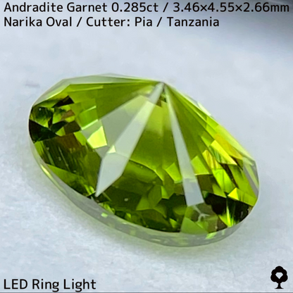 Andoradaite（Demantoid）0.285ct / Tanzania / New cut