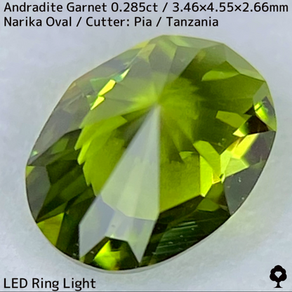 Andoradaite（Demantoid）0.285ct / Tanzania / New cut