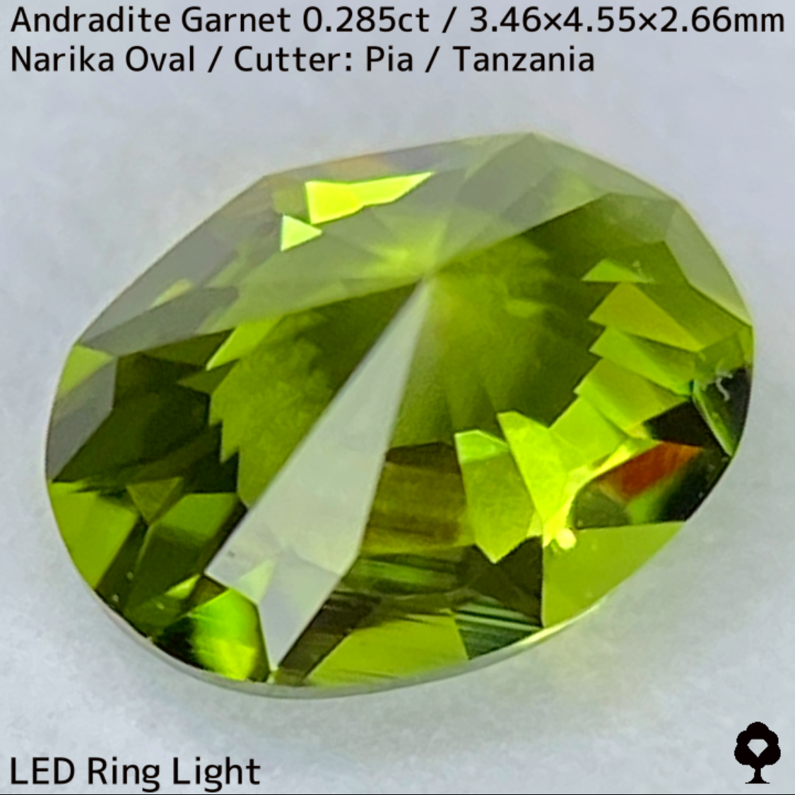 Andoradaite（Demantoid）0.285ct / Tanzania / New cut