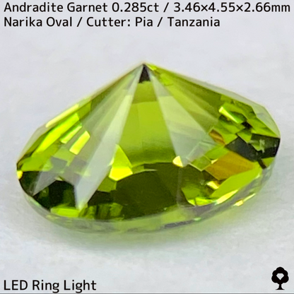 Andoradaite（Demantoid）0.285ct / Tanzania / New cut