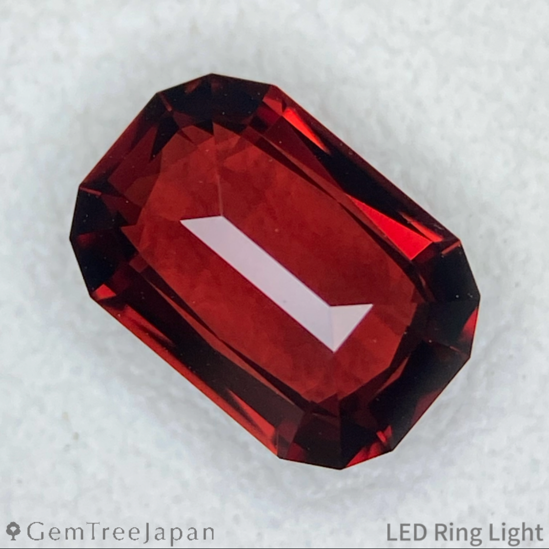 Rhodolite Garnet 1.37ct / Vietnam