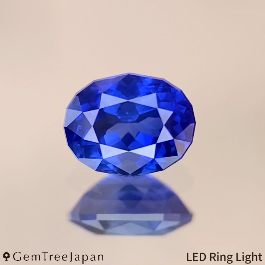 Cornflower Blue Sapphire 0.456ct / Burma