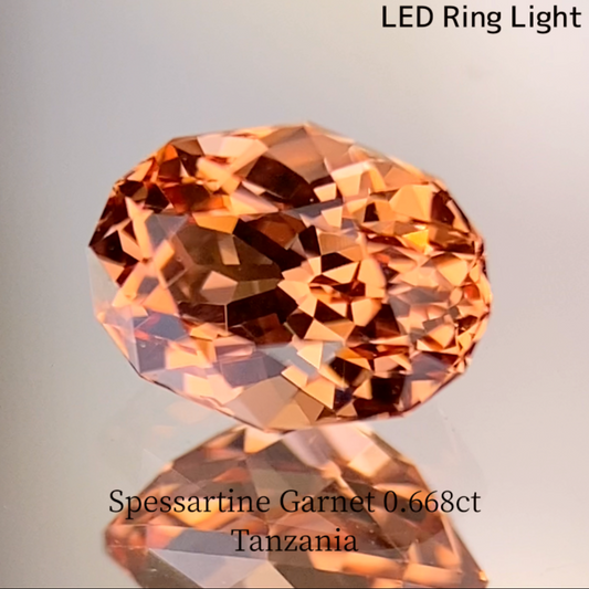 Spessartine Garnet 0.688ct / Tanzania