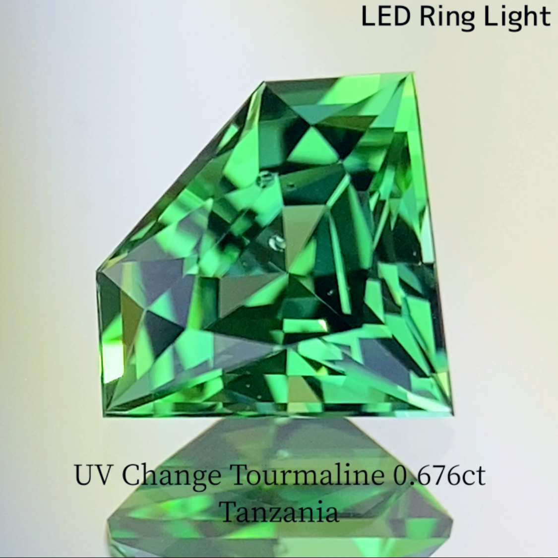 UV Change Tourmaline 0.676ct / Tanzania