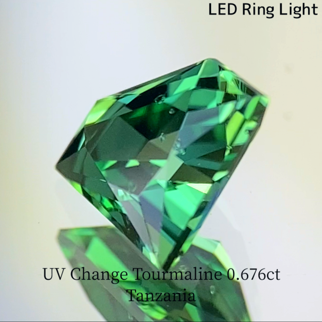 UV Change Tourmaline 0.676ct / Tanzania