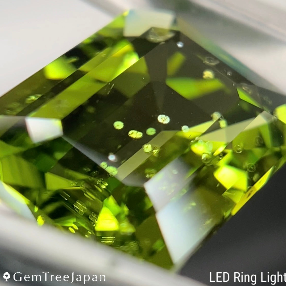 【One Price】Peridot 5.259ct / Vietnam
