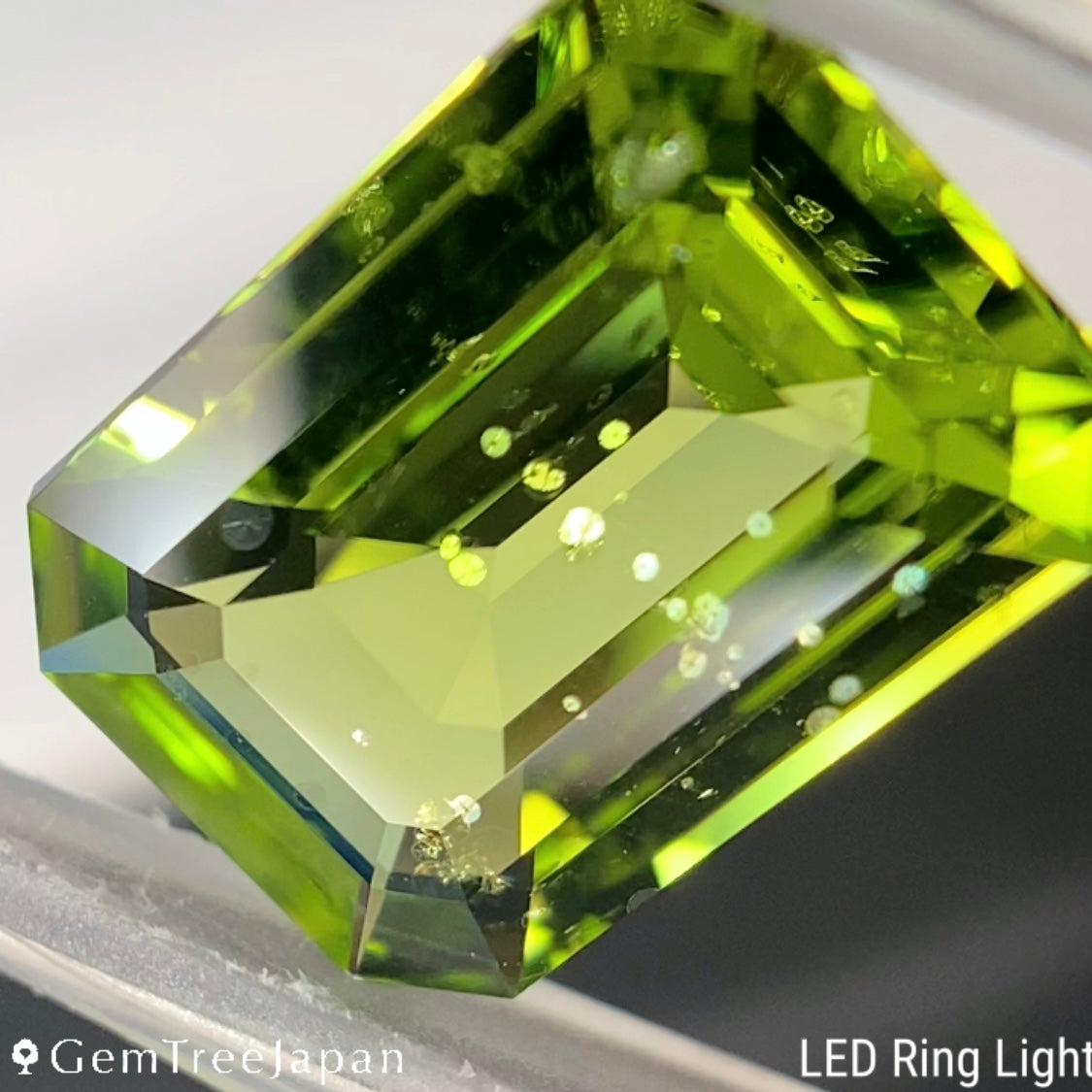【One Price】Peridot 5.259ct / Vietnam