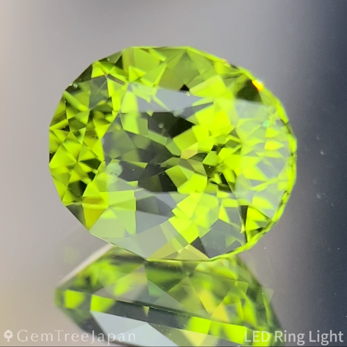 Peridot 1.62ct / Vietnam