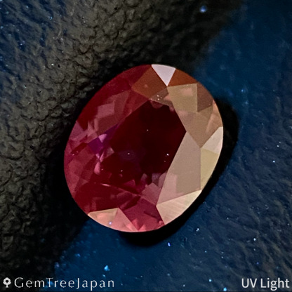 Un-Heat Sapphire 0.566ct / Tanzania