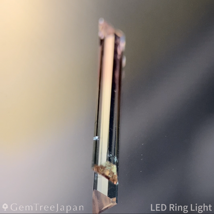 Bi-Color Tourmaline 0.850ct / Vietnam