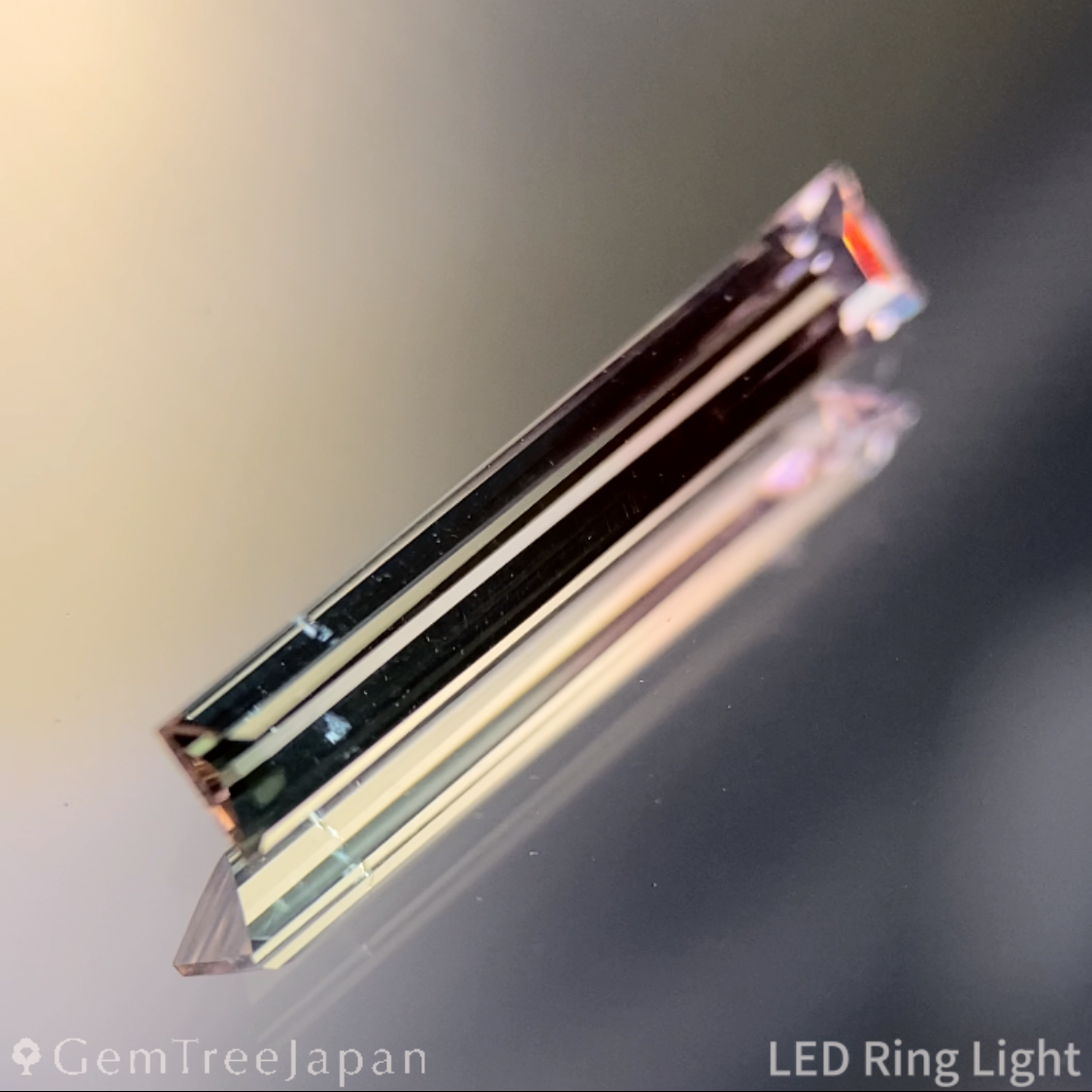 Bi-Color Tourmaline 0.850ct / Vietnam