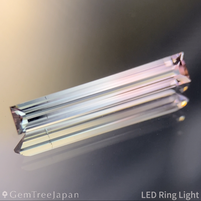 Bi-Color Tourmaline 0.850ct / Vietnam