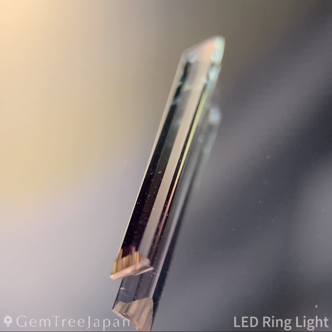 Bi-Color Tourmaline 0.850ct / Vietnam