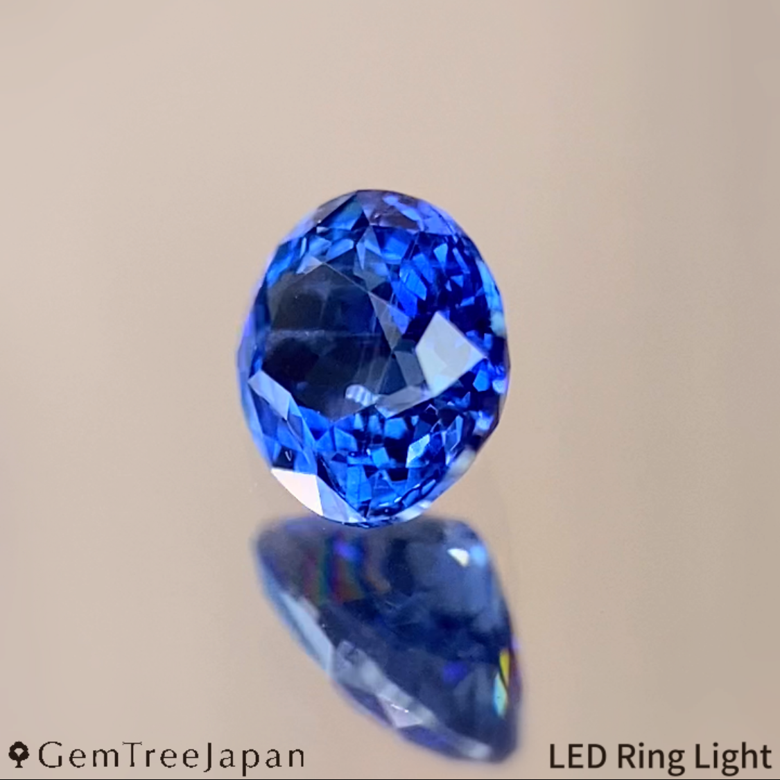 【lulu's Gem】"Spider's Web" Cornflower Blue Sapphire 0.523ct / Madagascar