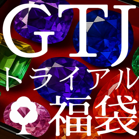 【12/14(日)まで】GTJトライアル福袋