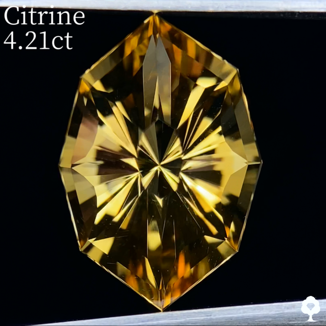 Citrine 4.21ct / Umbrella Narika Cut