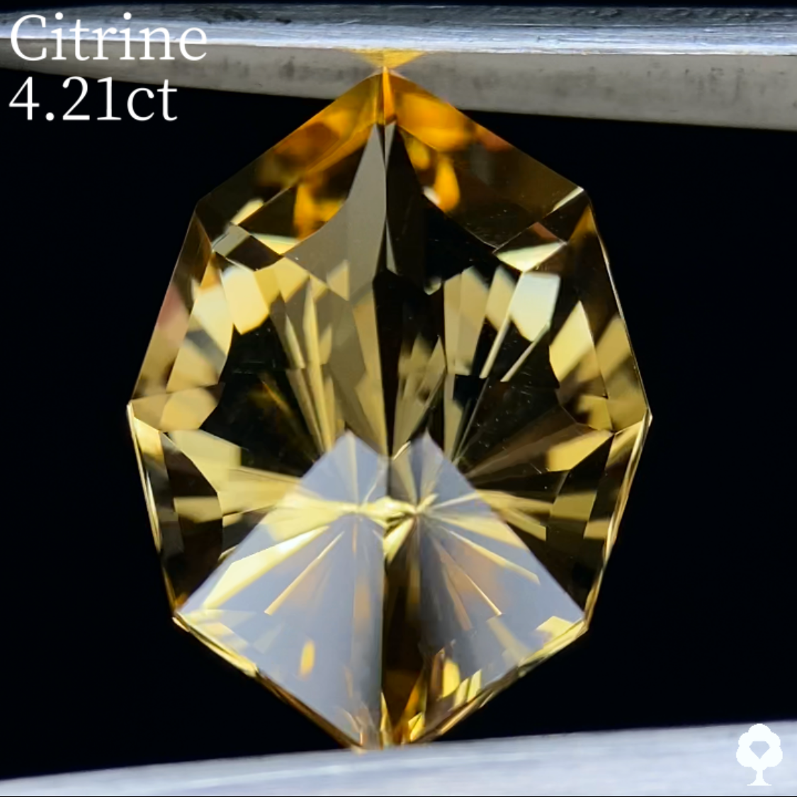 Citrine 4.21ct / Umbrella Narika Cut