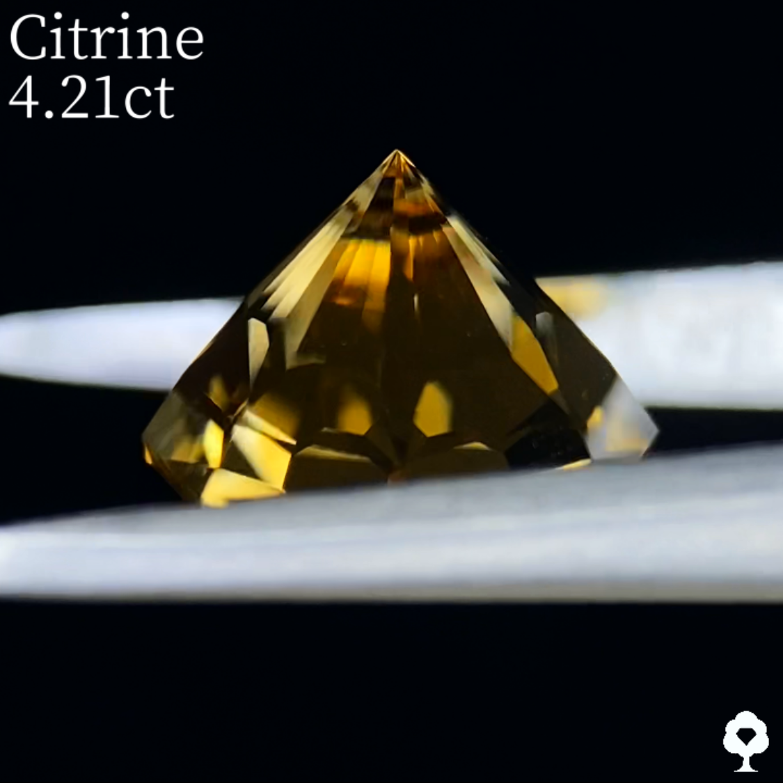 Citrine 4.21ct / Umbrella Narika Cut