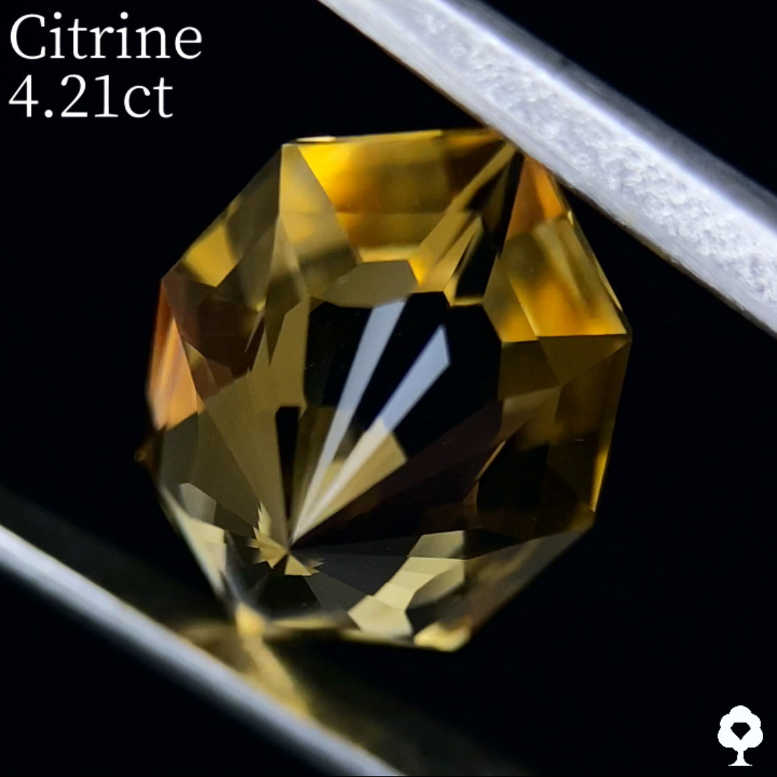 Citrine 4.21ct / Umbrella Narika Cut