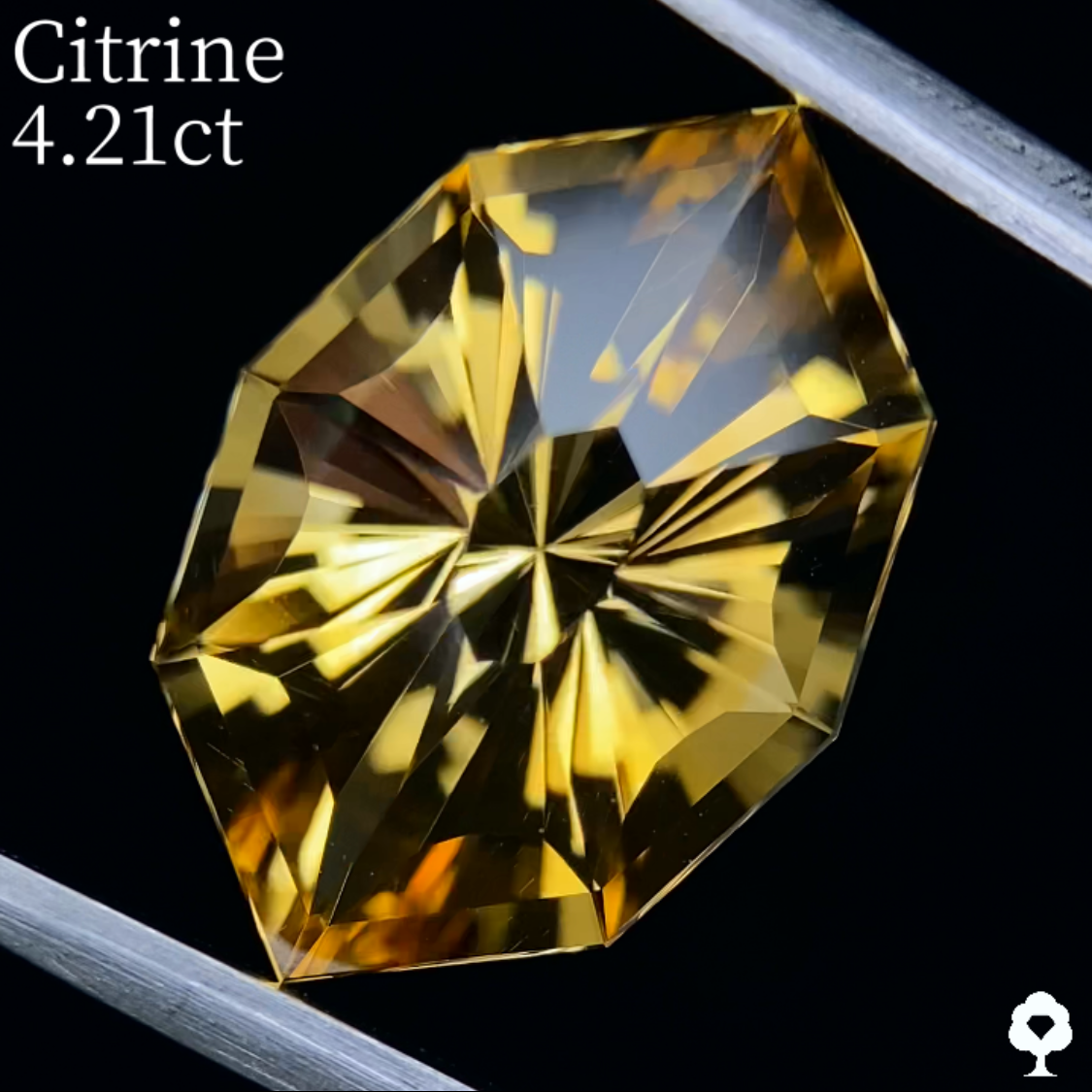 Citrine 4.21ct / Umbrella Narika Cut