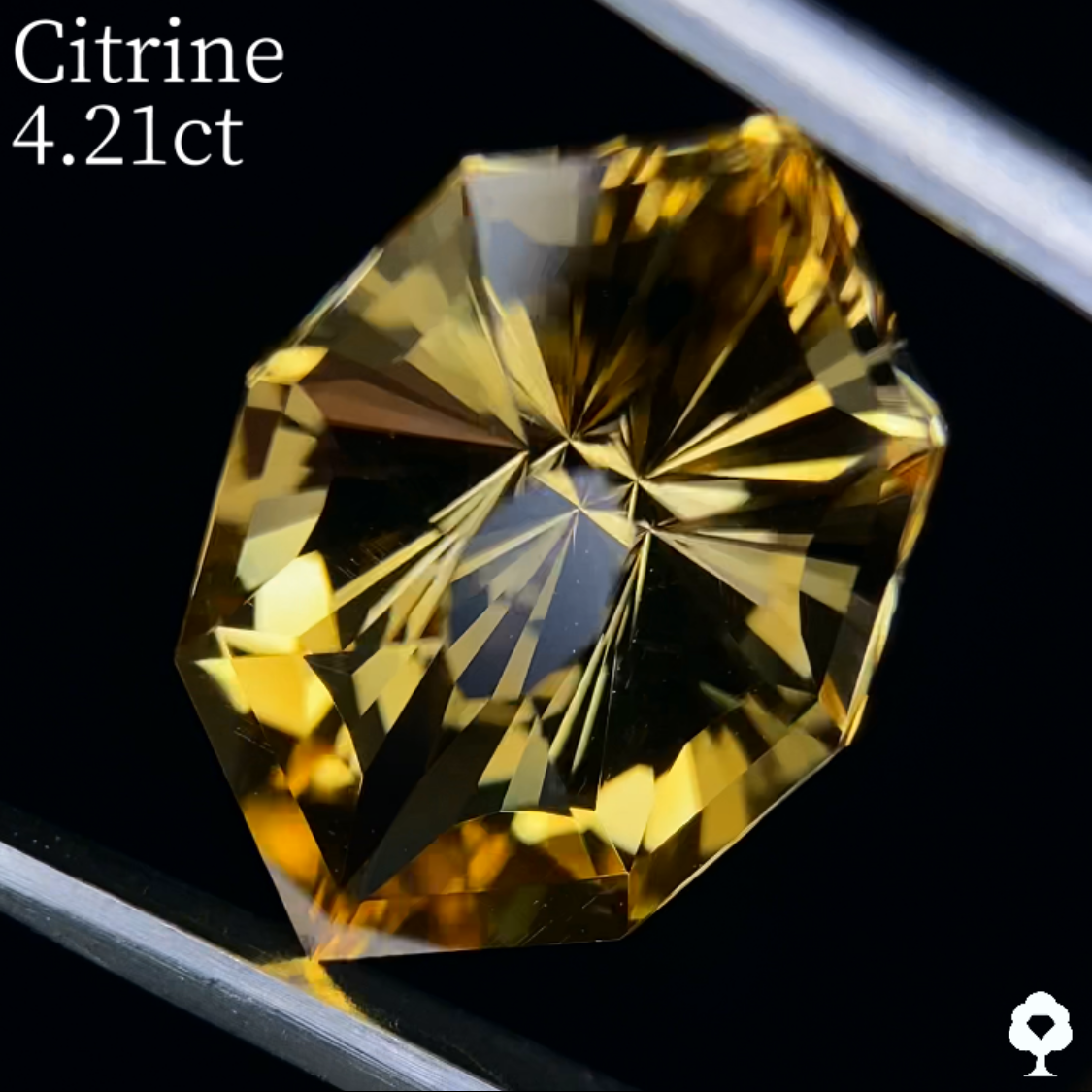 Citrine 4.21ct / Umbrella Narika Cut