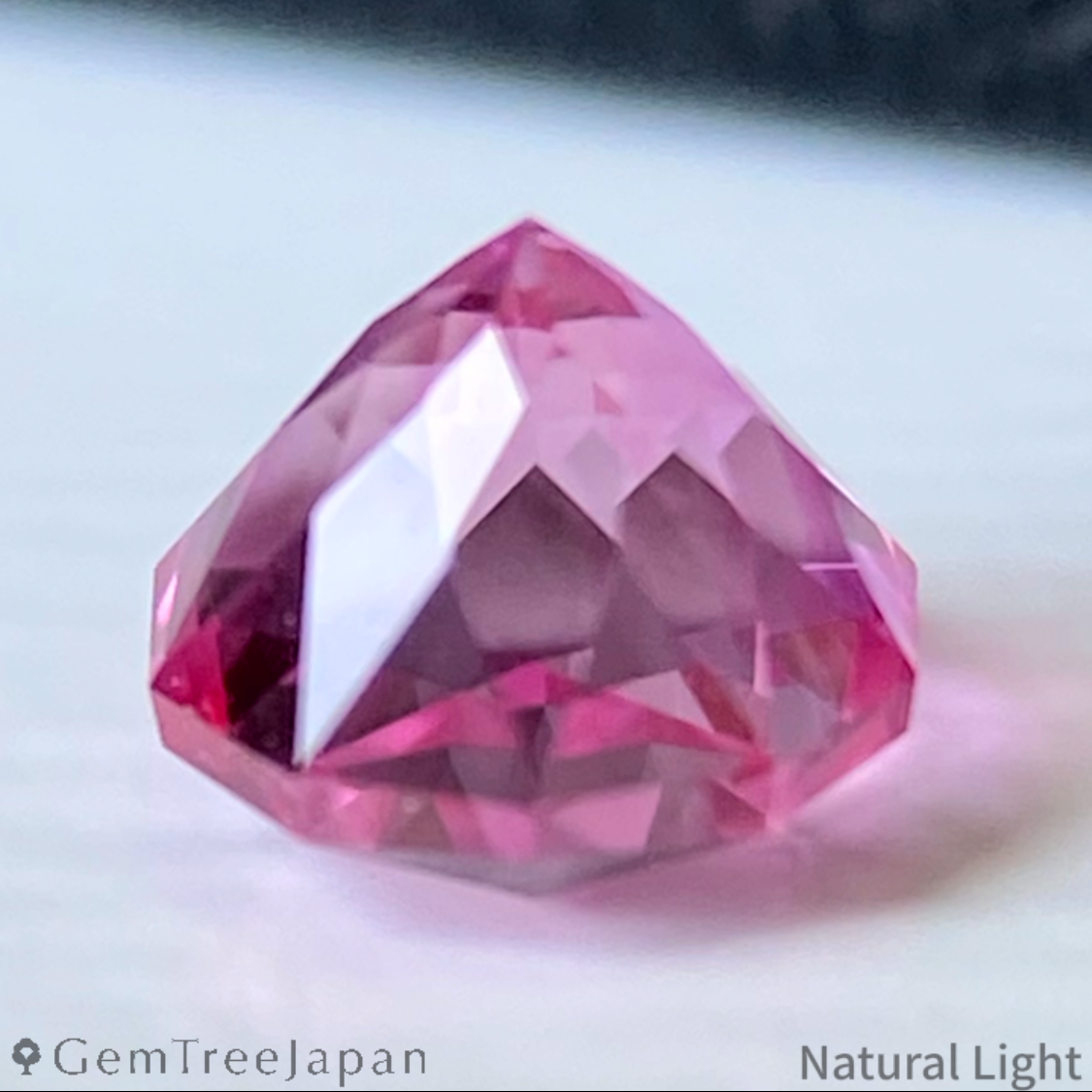 本物品質の PINK SAPPHIRE 非売品ポスター5枚セット ポスター