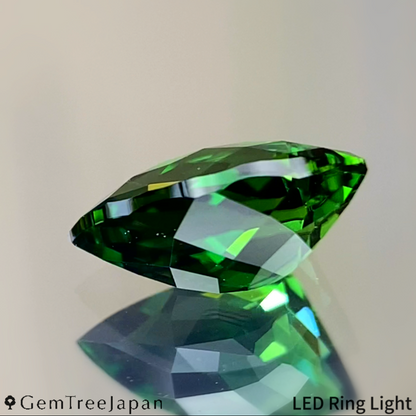 Chrome Tourmaline 0.774ct / Tanzania