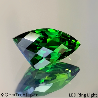 Chrome Tourmaline 0.774ct / Tanzania