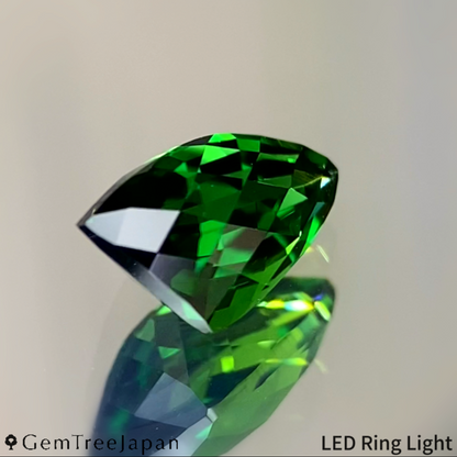 Chrome Tourmaline 0.774ct / Tanzania