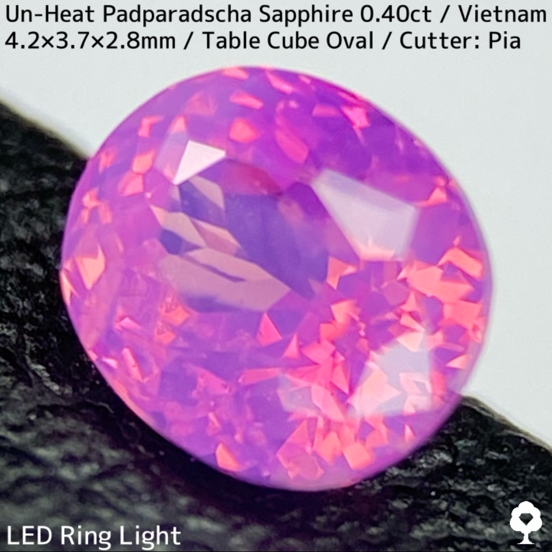 Un-Heat Padparadscha Sapphire 0.40ct / Vietnam