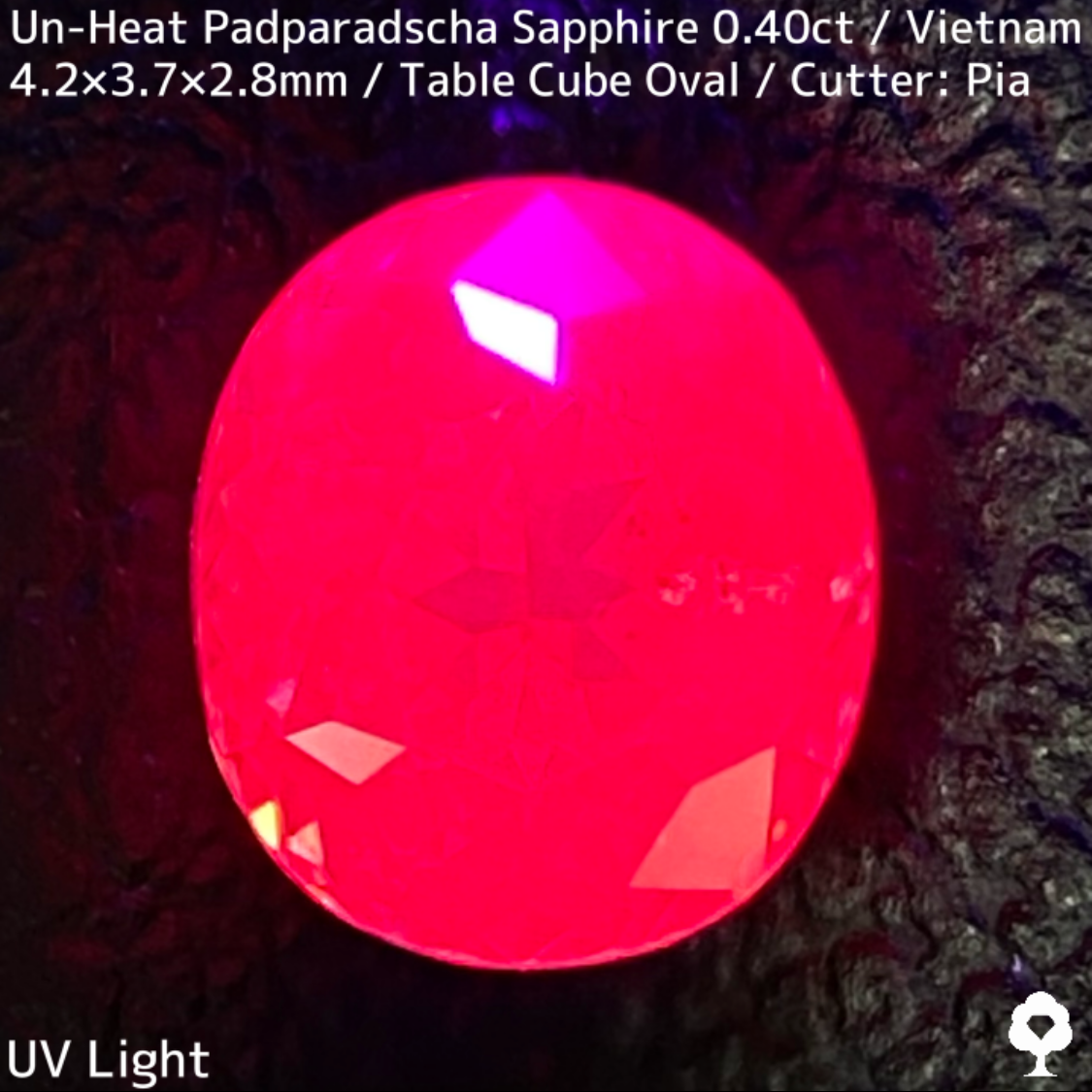 Un-Heat Padparadscha Sapphire 0.40ct / Vietnam