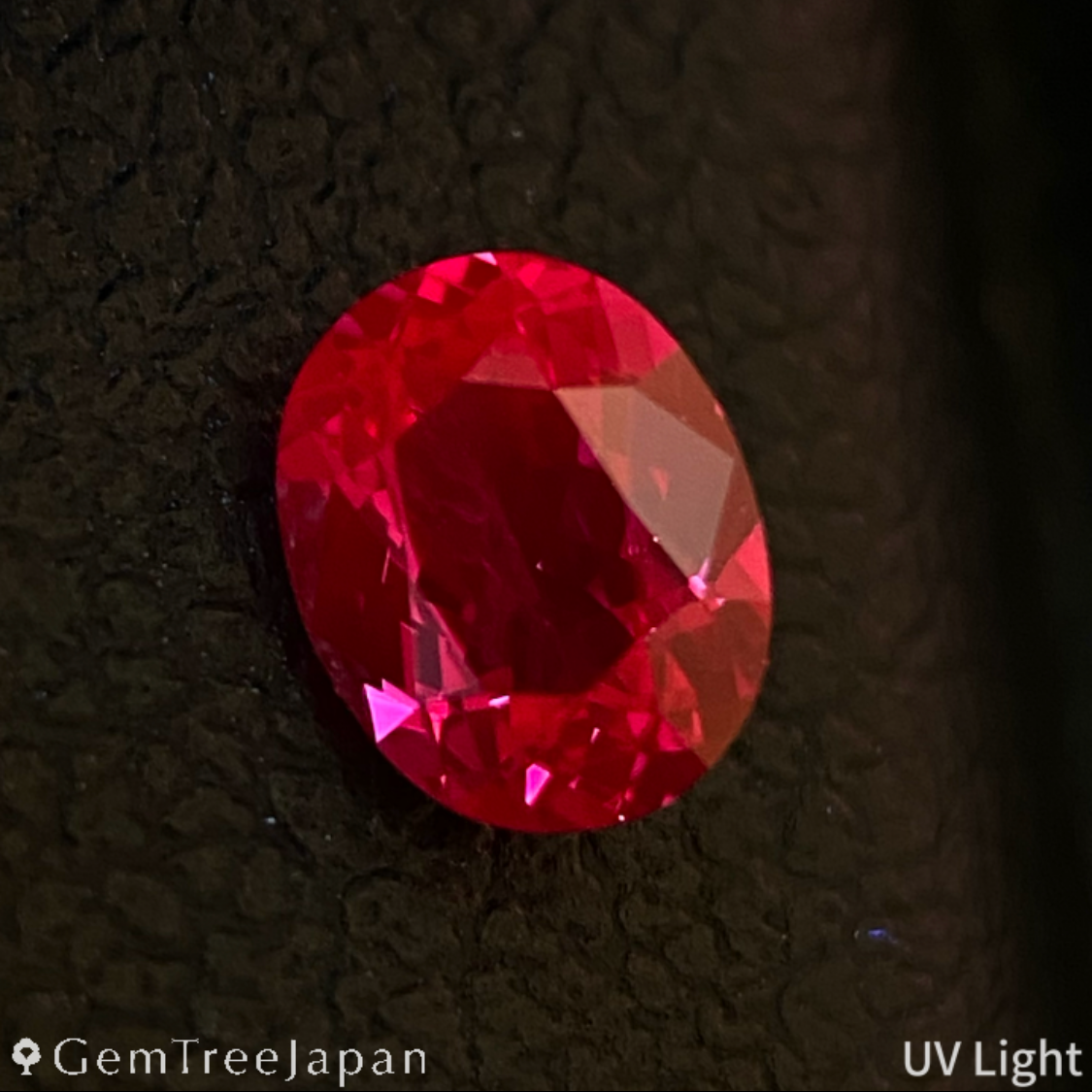 Un-Heat Ruby 0.352ct / Thailand
