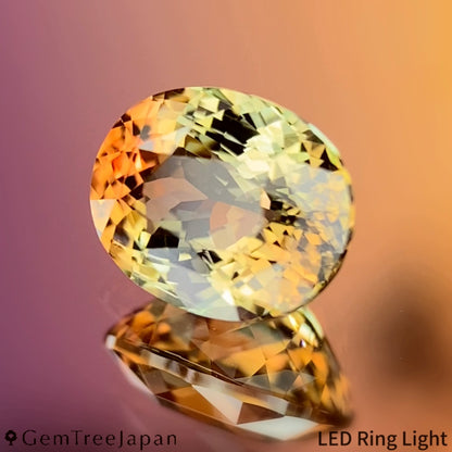 Parti-Color Tourmaline 1.303ct / Madagascar