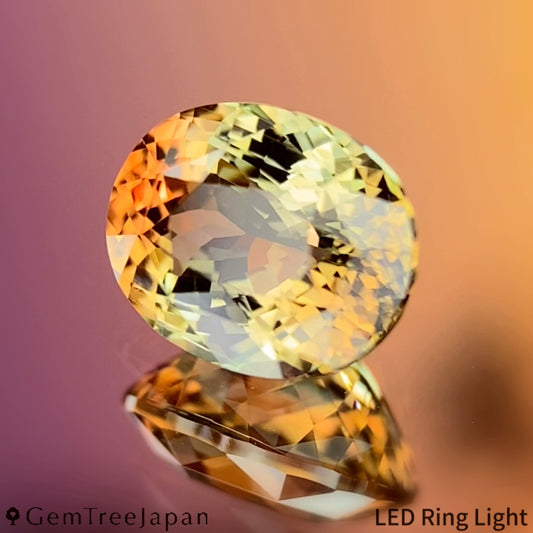 Parti-Color Tourmaline 1.303ct / Madagascar