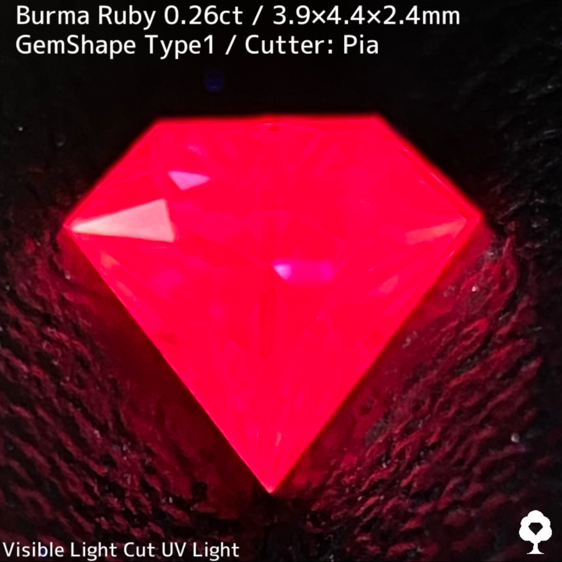 Ruby 0.26ct / Burma / GemShapeTP1