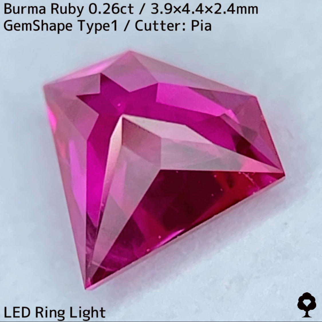 Ruby 0.26ct / Burma / GemShapeTP1